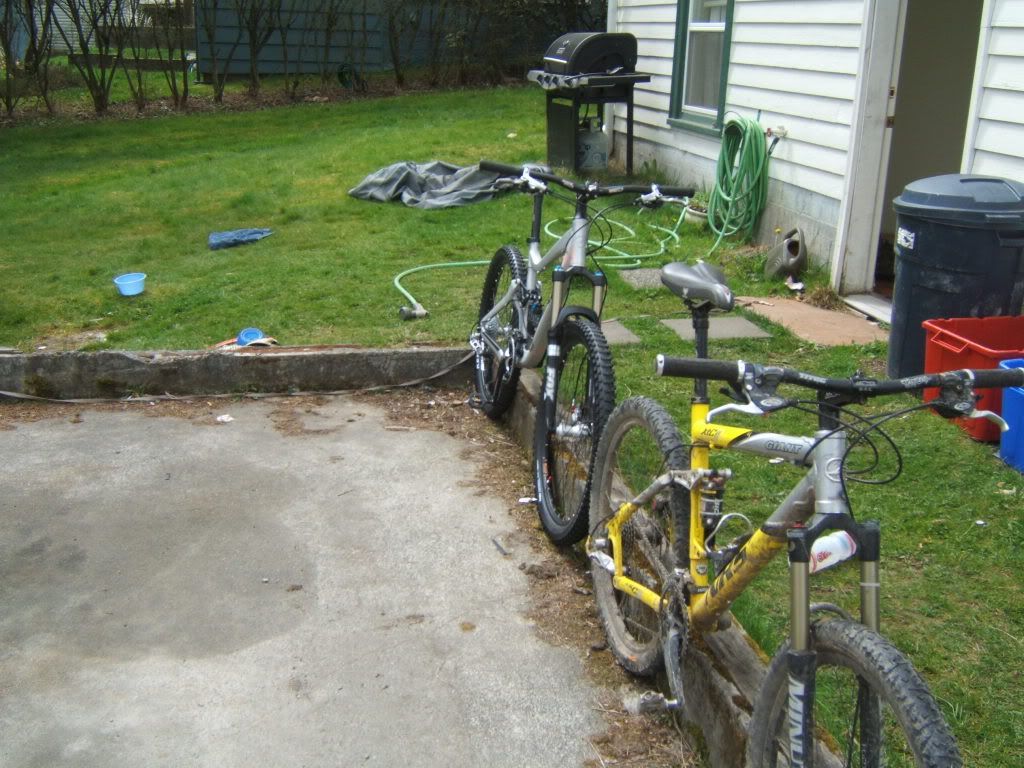 trusty NRS steed