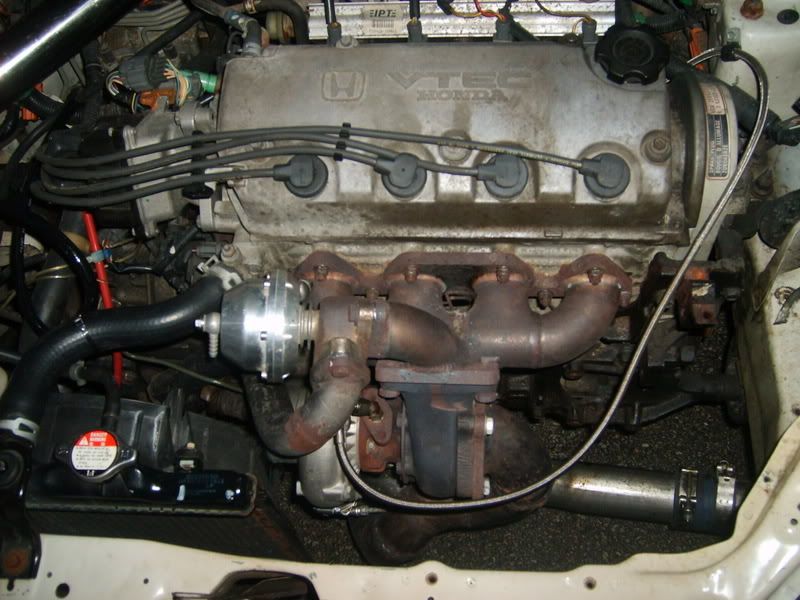 turbo d16z6