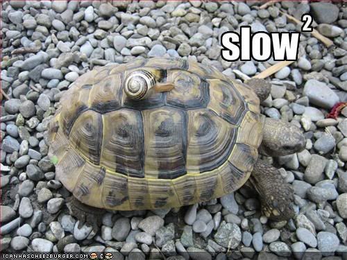 slow.jpg