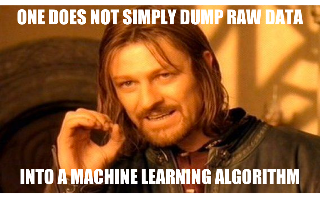 One Does Not Simply Dump Raw Data Into a Machine Learning Algorithm