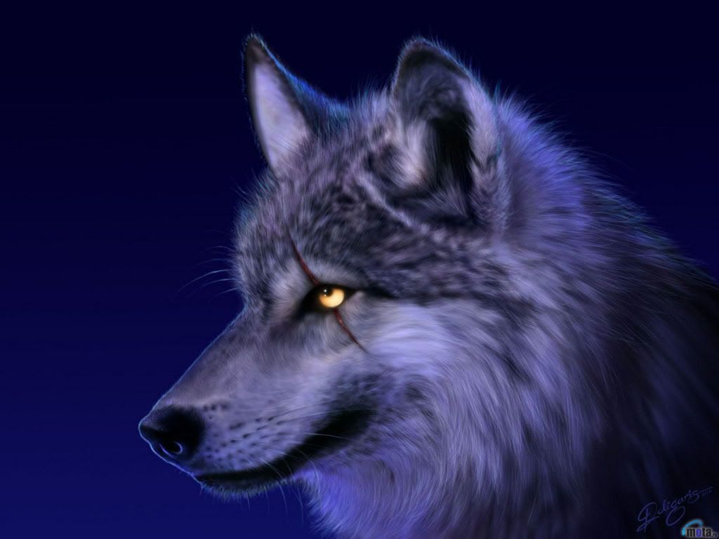 http://i164.photobucket.com/albums/u12/edwin_yani/Wolf.jpg