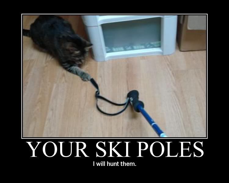 tovah-skipoles-motivator.jpg