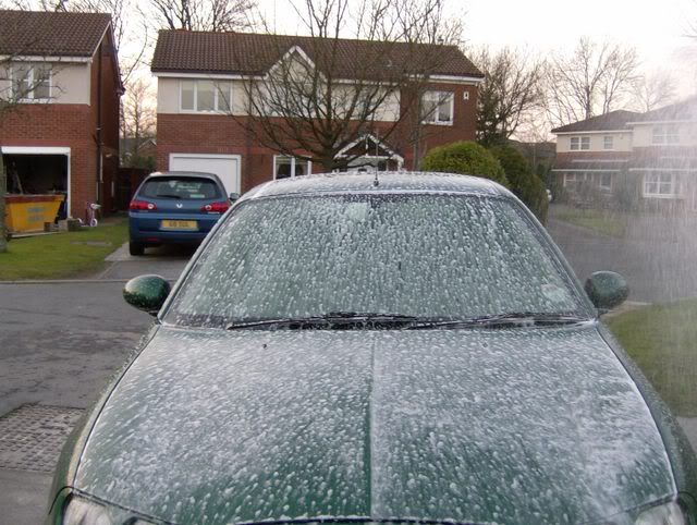 SnowwaxonMG.jpg