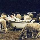 LAMBSEY-LAMBRANGERcover.jpg