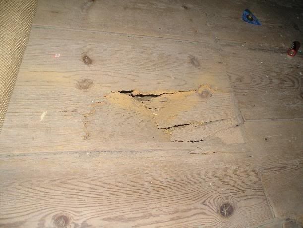 floorboard.jpg