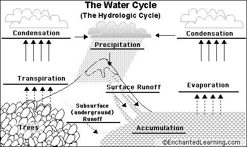 Accumulation Water Cycle