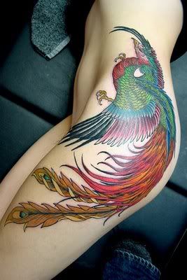phoenix tattoo Pictures, Images and Photos