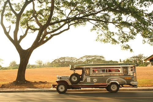 jeepney Pictures, Images and Photos