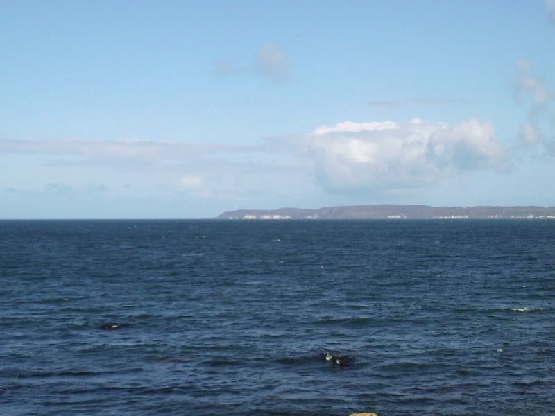 Photo-0014.jpg