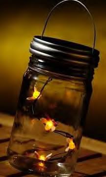 fireflys Pictures, Images and Photos