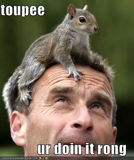 squirreltoupee.jpg