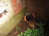 IMG_0103-1.jpg image by JavaJunky429