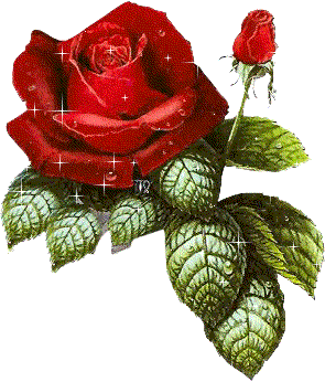 brillo.gif rosas image by PRINCEZA-ALEJANDRA