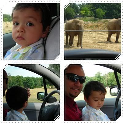 Parc de Thoiry