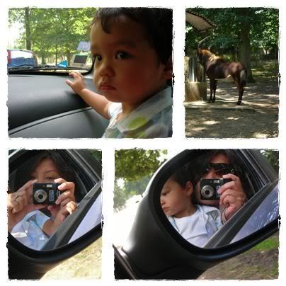 Parc de Thoiry