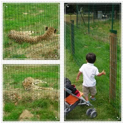 Le parc des F eacute lins