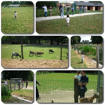Le parc des F eacute lins