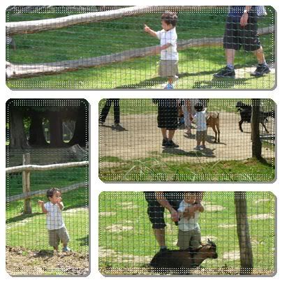 Le parc des F eacute lins