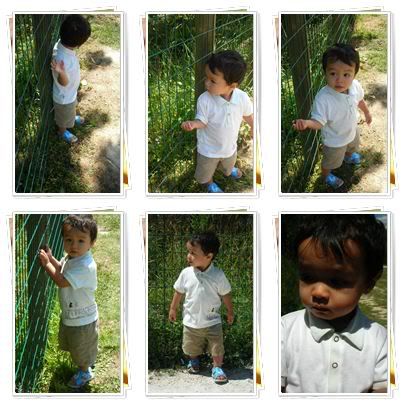 Le parc des F eacute lins