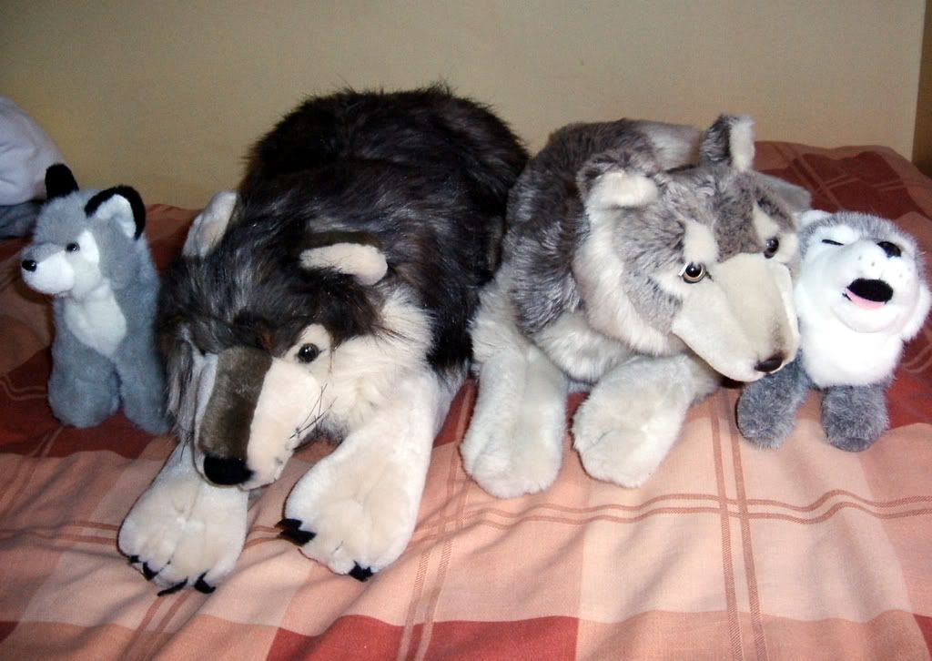 Toy Huskies