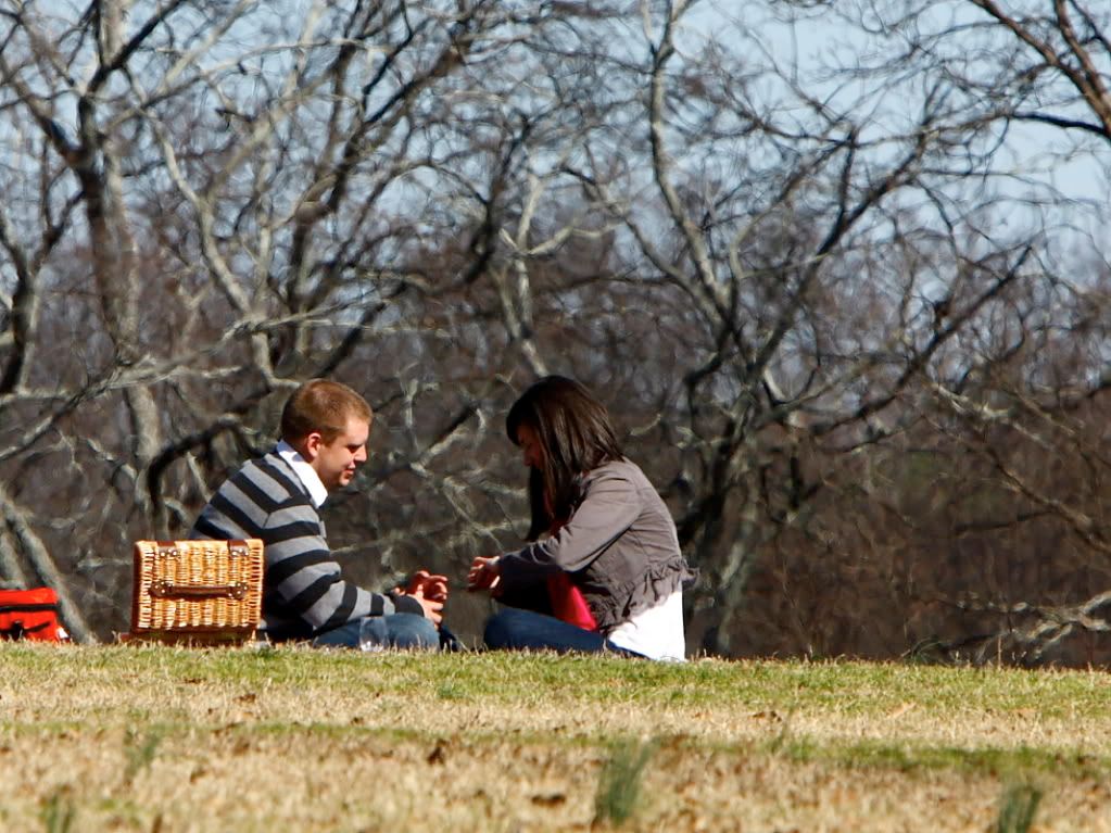 IMAGE: http://i164.photobucket.com/albums/u22/dcsmith_bucket/IMG_24191.jpg