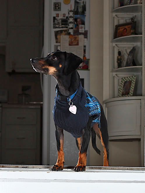 IMAGE: http://i164.photobucket.com/albums/u22/dcsmith_bucket/IMG_8449copy.jpg