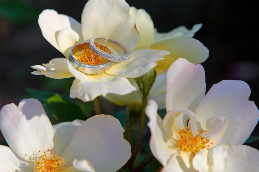 IMAGE: http://i164.photobucket.com/albums/u22/dcsmith_bucket/Wedding-5.jpg