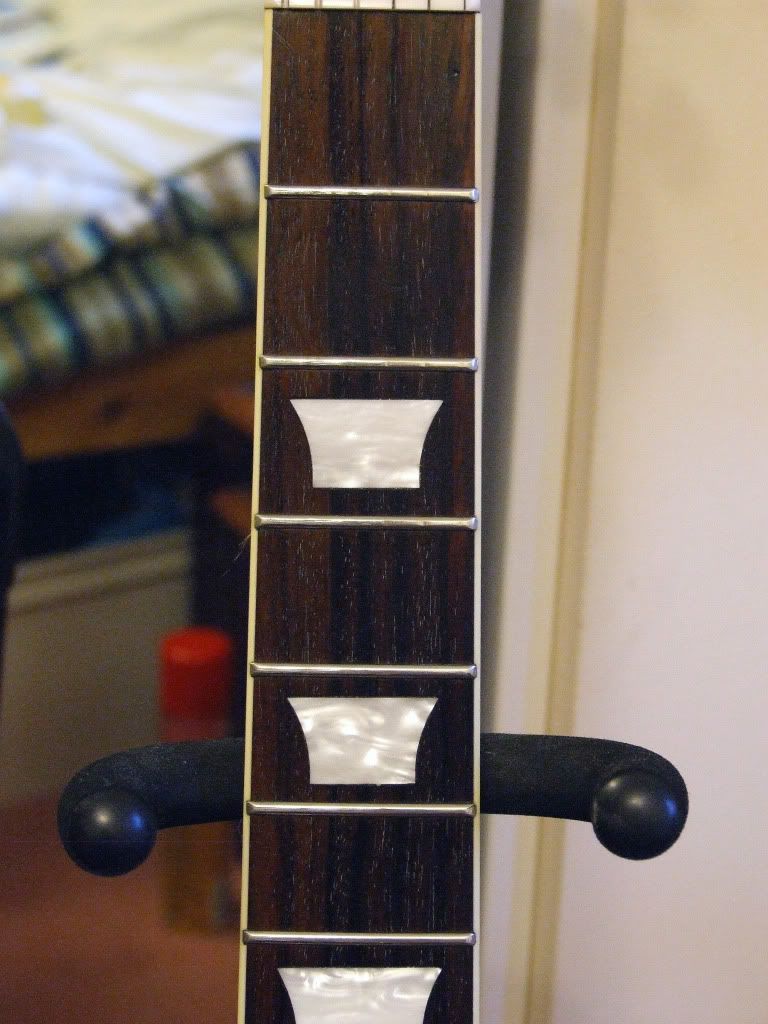 LPFretboard01.jpg