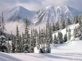 42910_wallpaper2801.jpg winter image by whitel1216