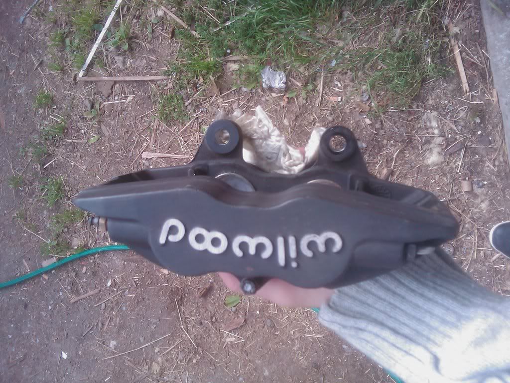 IMAG0196.jpg