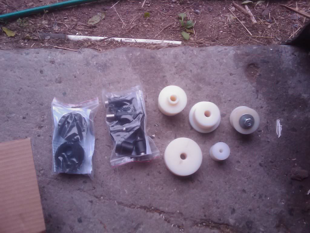 IMAG0209.jpg