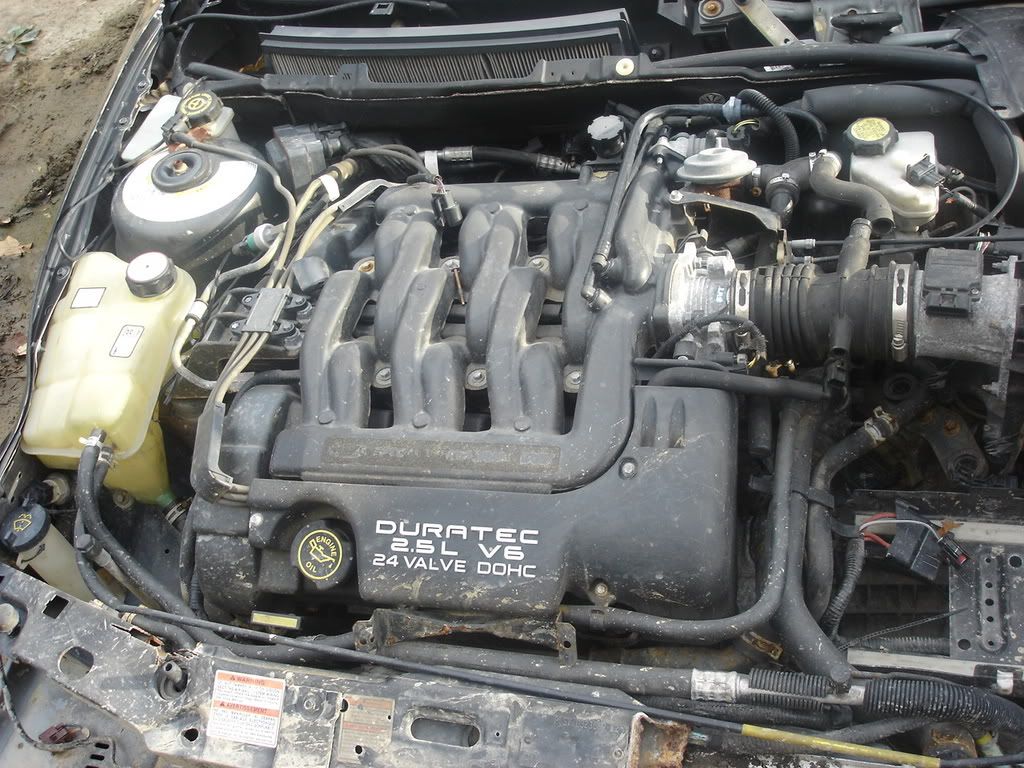 Picture006.jpg