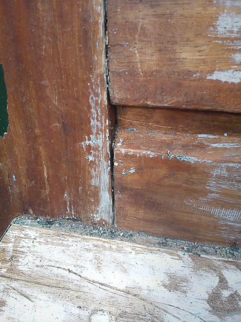IMG_20110620_185011.jpg