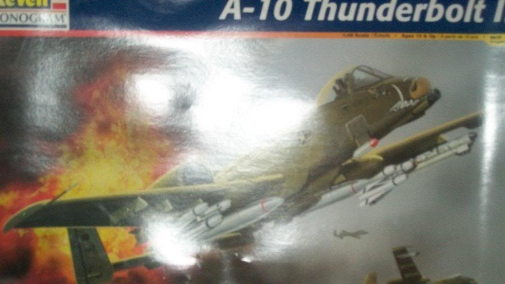 038.jpg Revell 1/48 A-10 picture by Raptor94