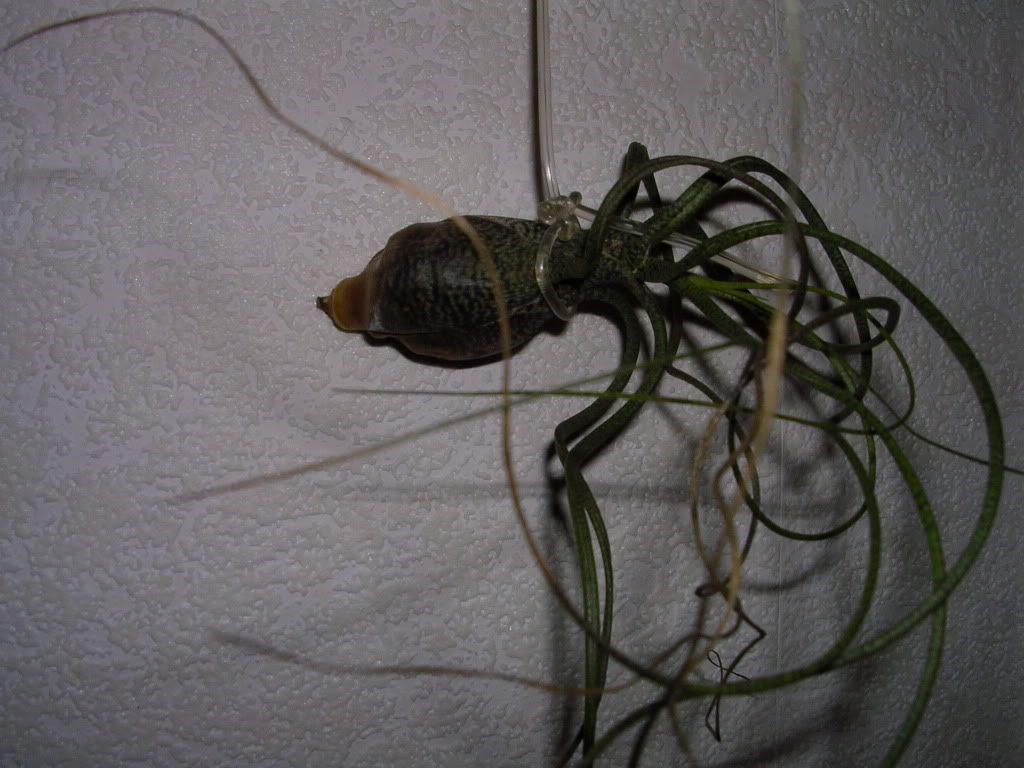 DSCN2130.jpg