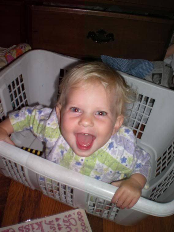 baby in a basket