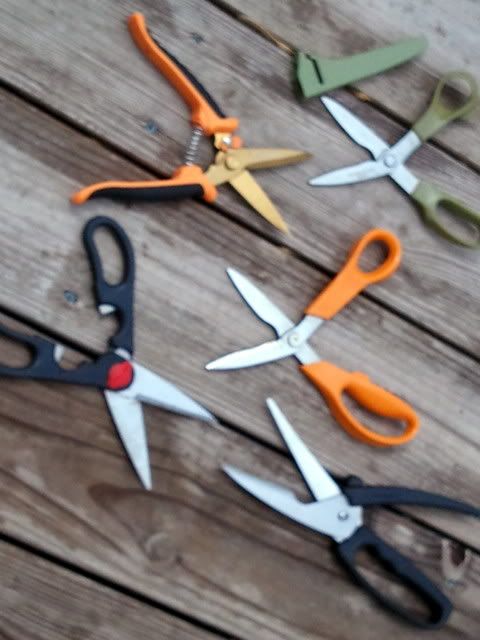 GameShears