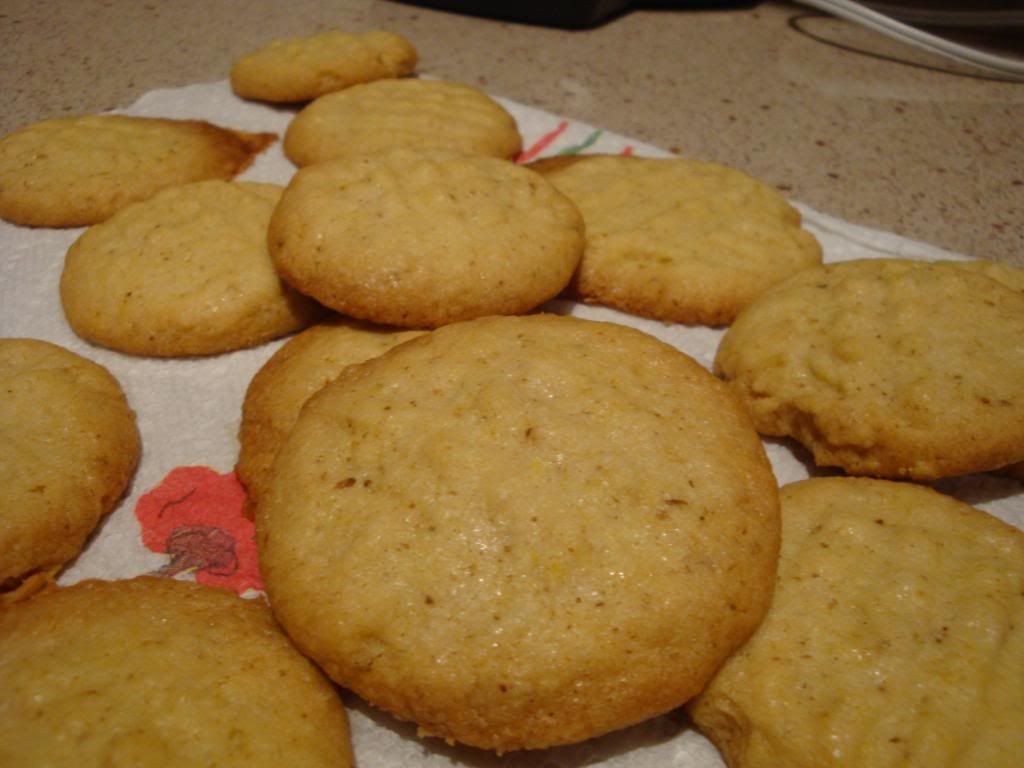 Curry-Coriander Cookies