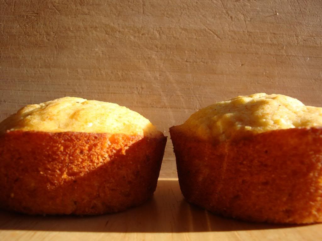 Corn Muffin Duo