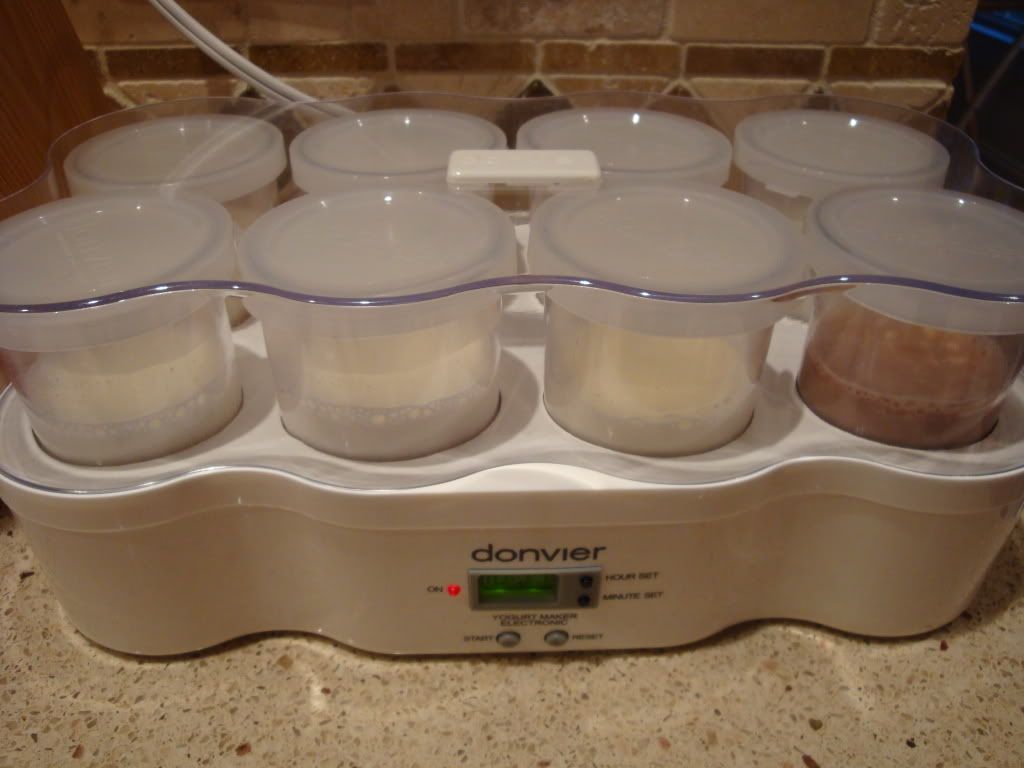 Yogurt Experiment Setup