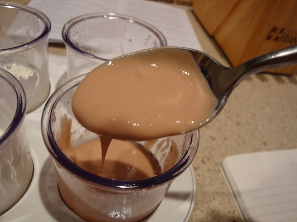 Chocolate Yogurt