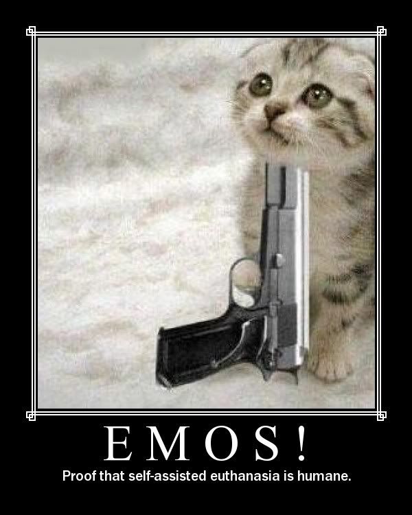 Photo Sharing and Video Hosting at Photobucket