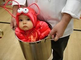 Baby Lobster Pictures, Images and Photos
