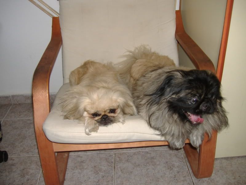 DSCF6934.jpg