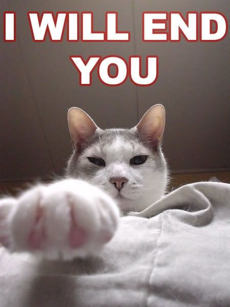 iwillendyou_jpg.jpg