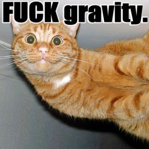 zz-forgetgravity_jpg.jpg