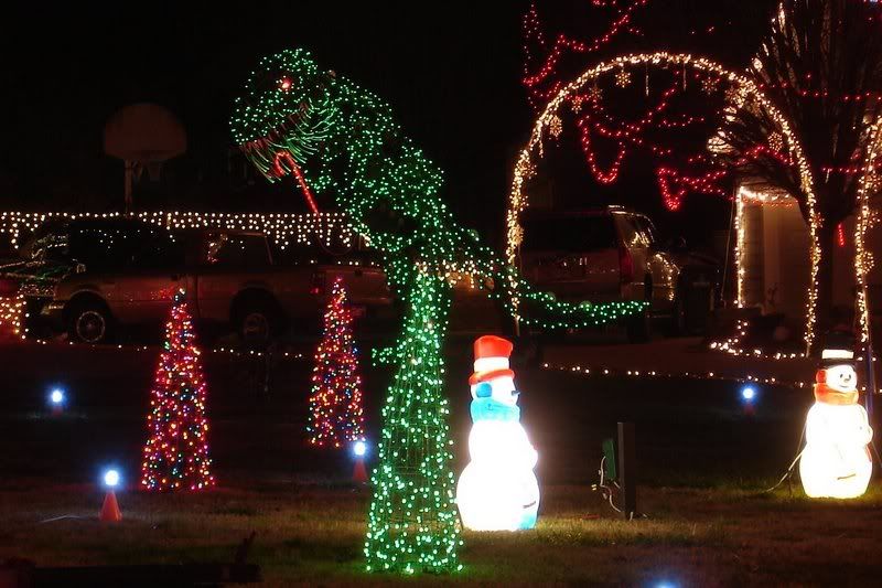Announcing happyland christmas lights (Raleigh, Holly Springs home