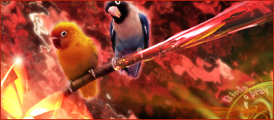 birds2.png