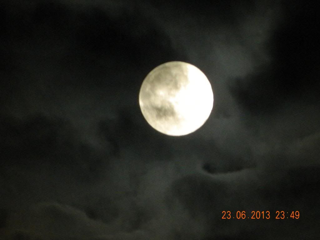 DSCN1265.jpg