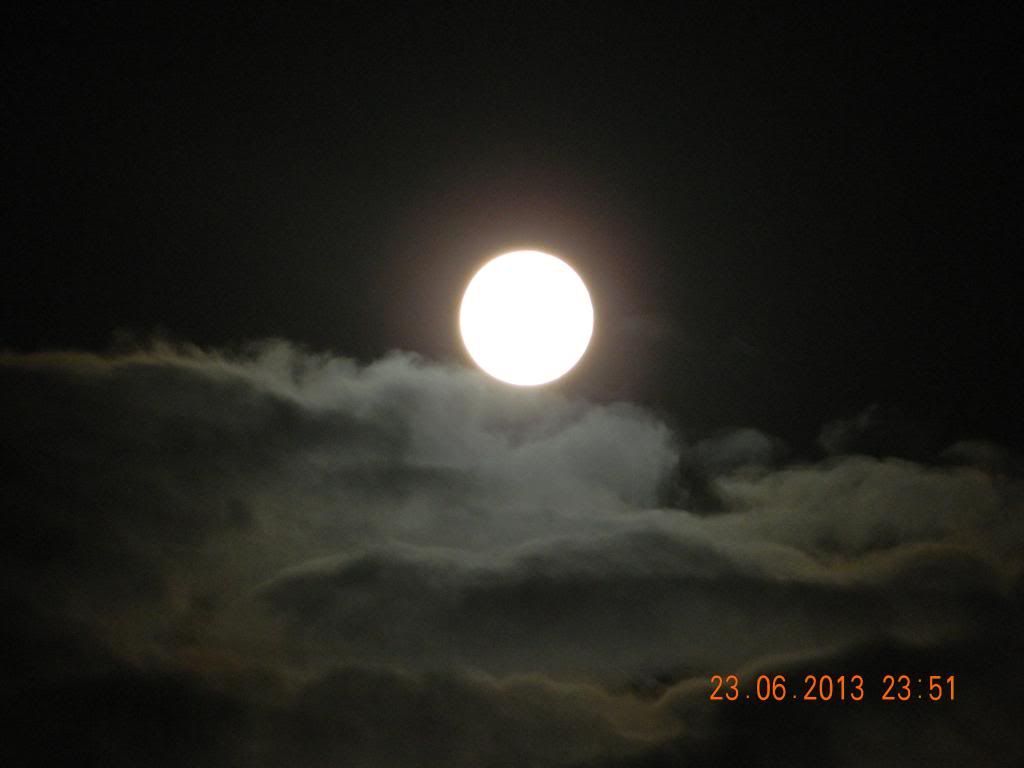 DSCN1274.jpg